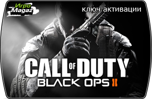 Call of Duty: Black Ops 2