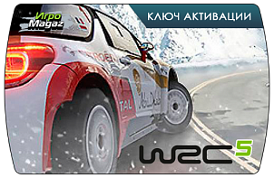 Доступен предзаказ WRC 5