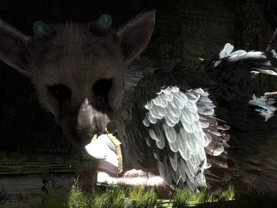 Игра The Last Guardian не избавилась от технических проблем