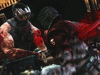 Игра Ninja Gaiden 3 без расчленения