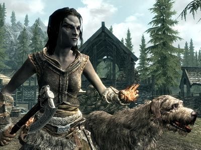 Броня в The Elder Scrolls V: Skyrim