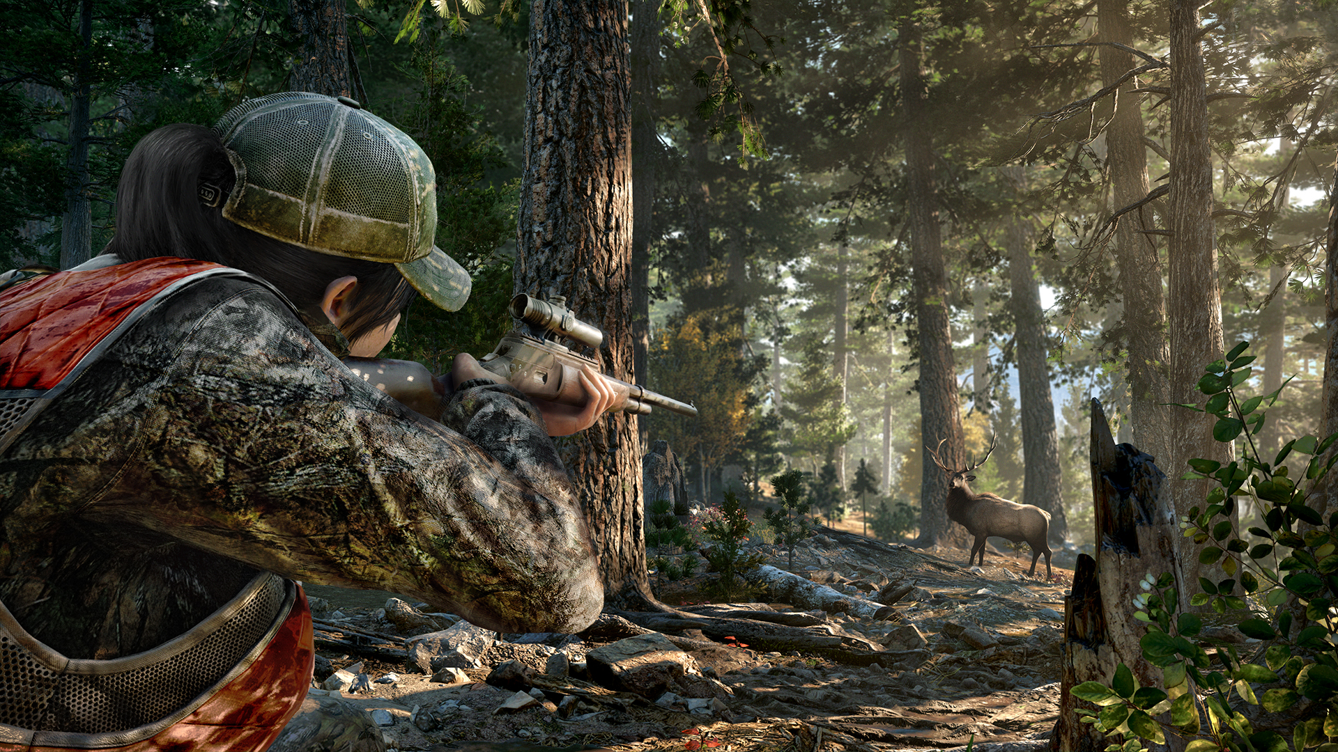 Фото Far Cry 5
