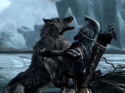 Дополнение для The Elder Scrolls V: Skyrim придется подождать