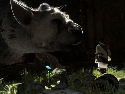 Детали The Last Guardian