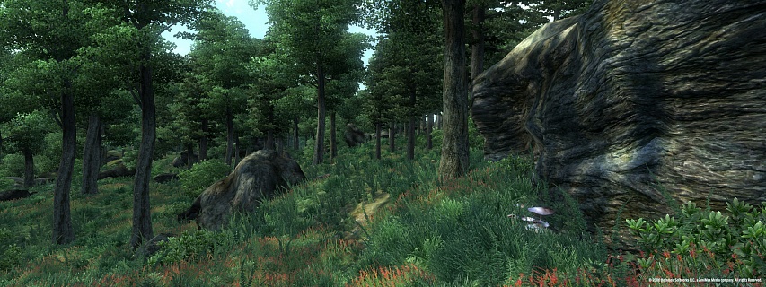 The Elder Scrolls 4 Oblivion Game of the Year Edition (ключ для ПК)