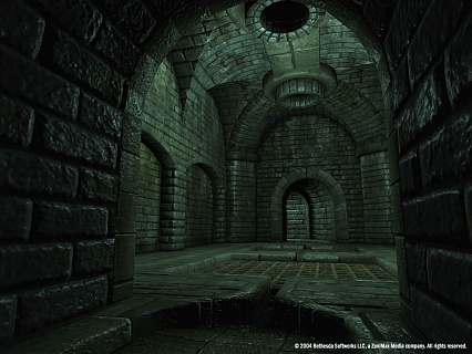 The Elder Scrolls 4 Oblivion Game of the Year Edition (ключ для ПК)