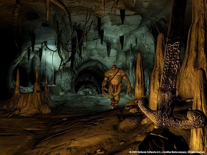 The Elder Scrolls 4 Oblivion Game of the Year Edition Deluxe (ключ для ПК)