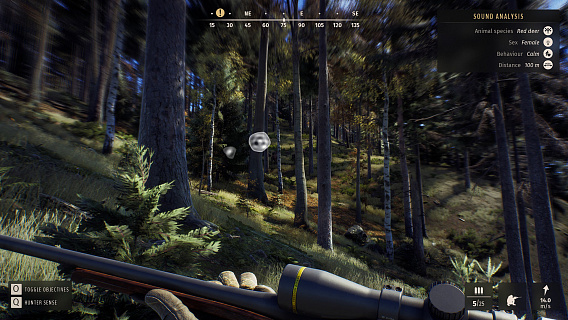 Way of the Hunter