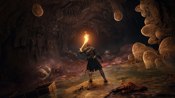 Elden Ring Deluxe Edition (ключ для ПК)
