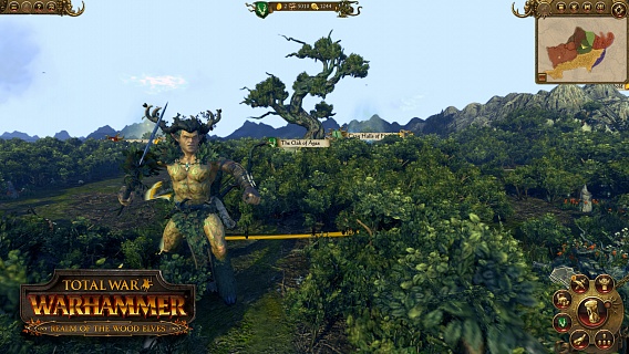 Total War Warhammer – Realm of the Wood Elves (ключ для ПК)