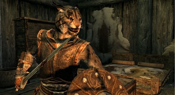 The Elder Scrolls V Skyrim Annivesary Edition