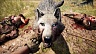 Far Cry Primal