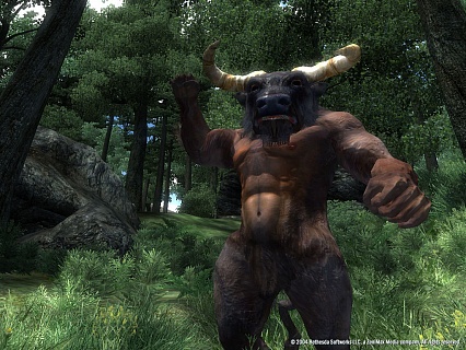 The Elder Scrolls 4 Oblivion Game of the Year Edition (ключ для ПК)