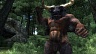 The Elder Scrolls 4 Oblivion Game of the Year Edition (ключ для ПК)