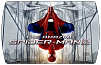 The Amazing Spider-Man 2 (ключ для ПК)