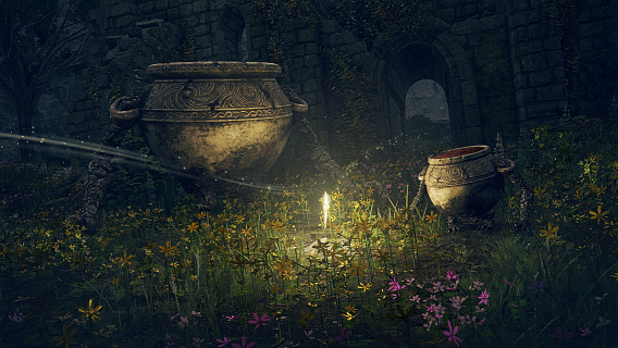 Elden Ring Deluxe Edition (ключ для ПК)