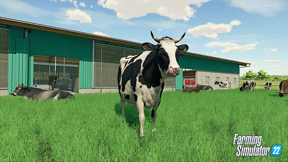 Farming Simulator 22 (ключ для ПК)