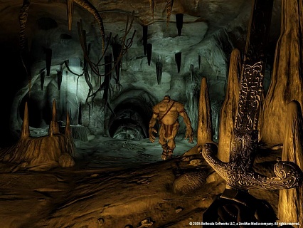 The Elder Scrolls 4 Oblivion Game of the Year Edition (ключ для ПК)