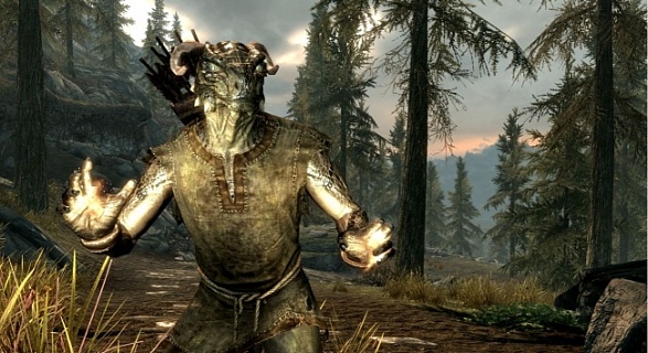 The Elder Scrolls V Skyrim Annivesary Edition