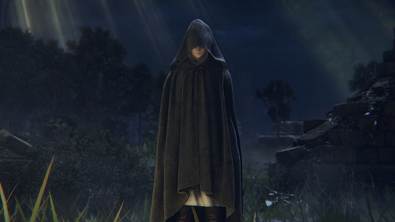 Elden Ring Deluxe Edition (ключ для ПК)
