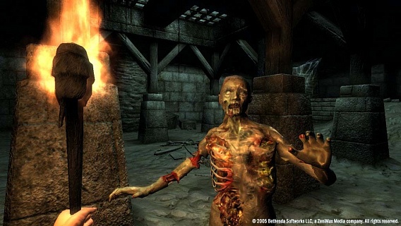 The Elder Scrolls 4 Oblivion Game of the Year Edition (ключ для ПК)