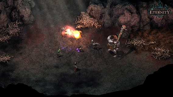Pillars of Eternity Hero Edition (ключ для ПК)