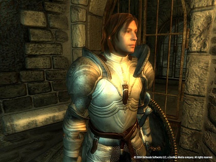 The Elder Scrolls 4 Oblivion Game of the Year Edition (ключ для ПК)