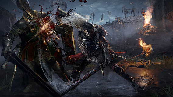 Elden Ring Deluxe Edition (ключ для ПК)