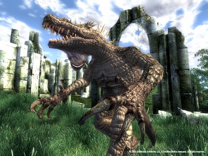 The Elder Scrolls 4 Oblivion Game of the Year Edition (ключ для ПК)
