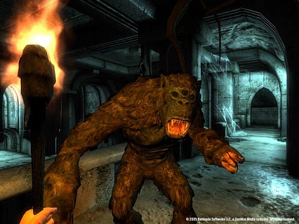 The Elder Scrolls 4 Oblivion Game of the Year Edition (ключ для ПК)