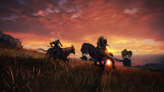 Elden Ring Deluxe Edition (ключ для ПК)