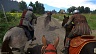 Kingdom Come Deliverance – From the Ashes (ключ для ПК)