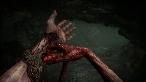 Scorn Deluxe Edition