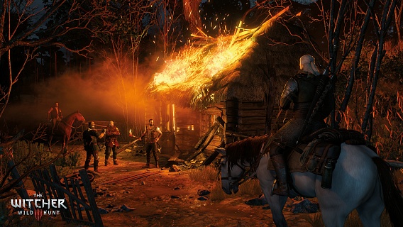 The Witcher 3 Wild Hunt Game of the Year Edition (ключ для ПК)