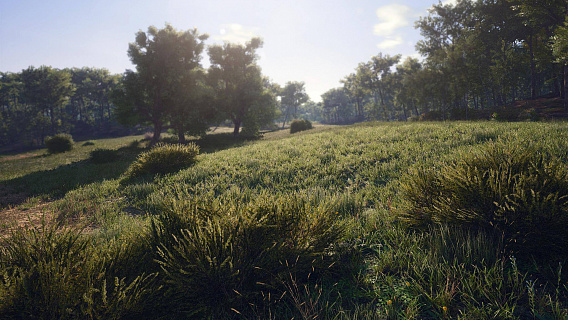 Scum (ключ для ПК)