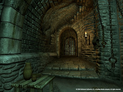 The Elder Scrolls 4 Oblivion Game of the Year Edition (ключ для ПК)
