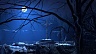 Dracula 1 Resurrection (ключ для ПК)