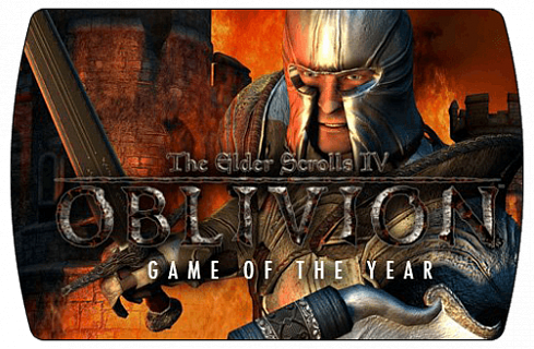 The Elder Scrolls 4 Oblivion Game of the Year Edition (ключ для ПК)