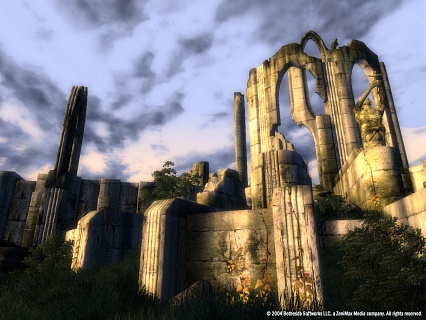 The Elder Scrolls 4 Oblivion Game of the Year Edition (ключ для ПК)