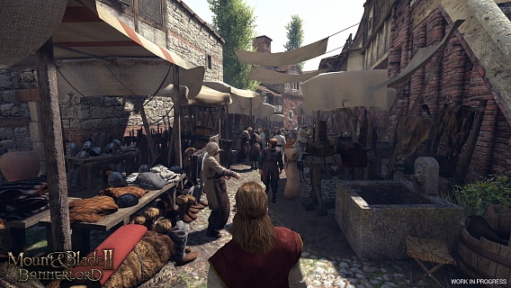 Mount & Blade II Bannerlord (ключ для ПК)