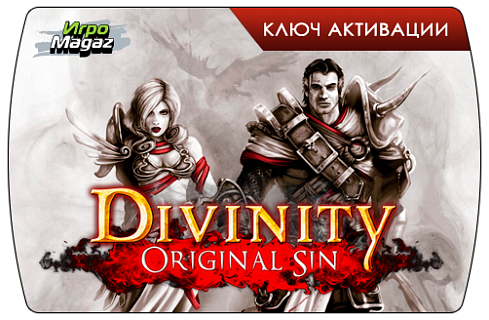 Divinity Original Sin (ключ для ПК)