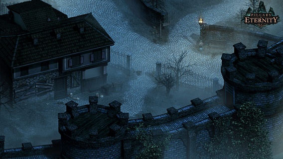 Pillars of Eternity Hero Edition (ключ для ПК)