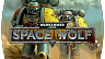 Warhammer 40000 Space Wolf (ключ для ПК)