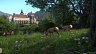 Kingdom Come Deliverance (ключ для ПК)