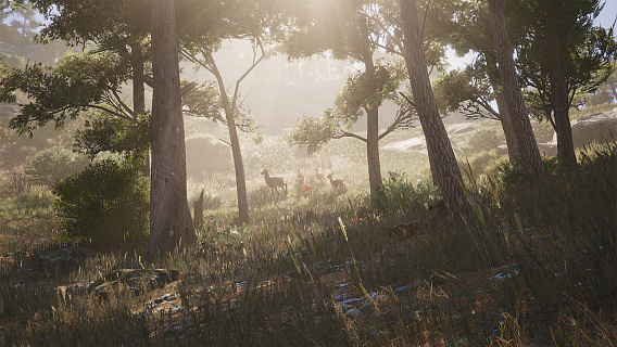 Scum (ключ для ПК)
