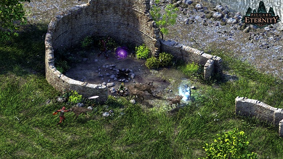 Pillars of Eternity Hero Edition (ключ для ПК)