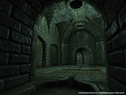 The Elder Scrolls 4 Oblivion Game of the Year Edition Deluxe (ключ для ПК)